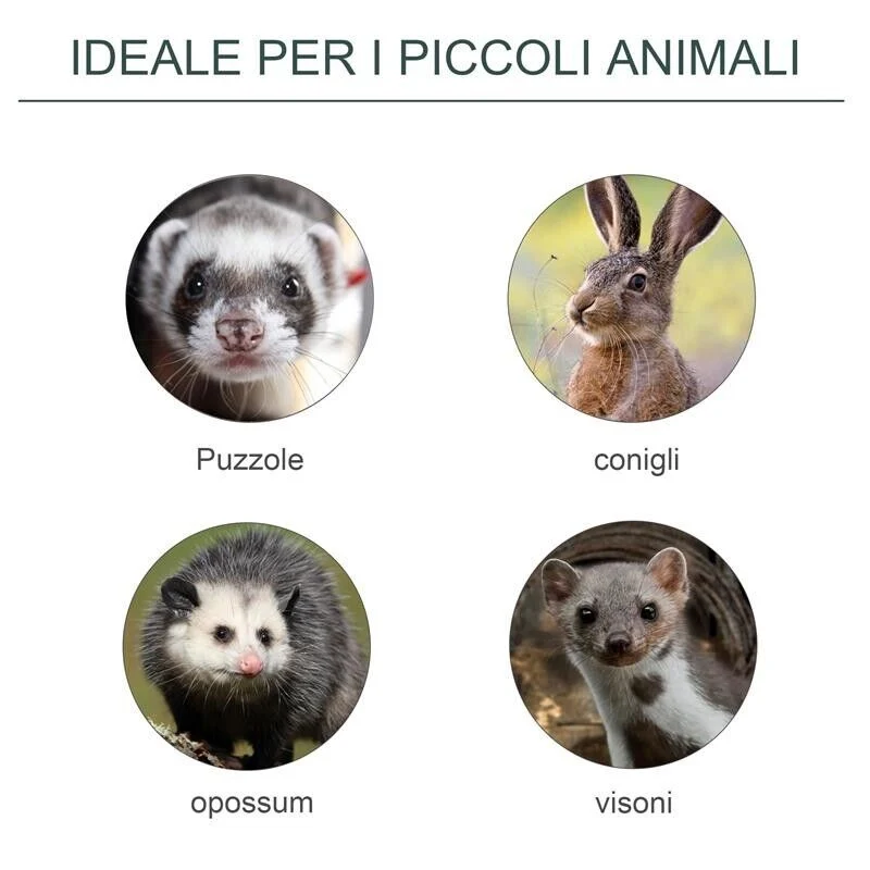 GABBIA TRAPPOLA PER ANIMALI VIVI CON PORTA SINGOLA, 60X18X20CM, VERDE - Image 7