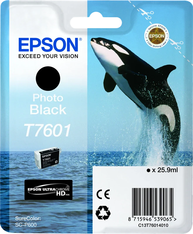Epson Nero Photo T7601