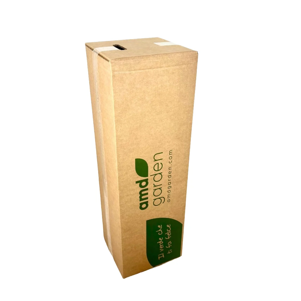 Pianta di GELSOMINO POLIANTA Rampicante OFFICINALE PROFUMATO vaso 17 cm AMDGarden - Image 4