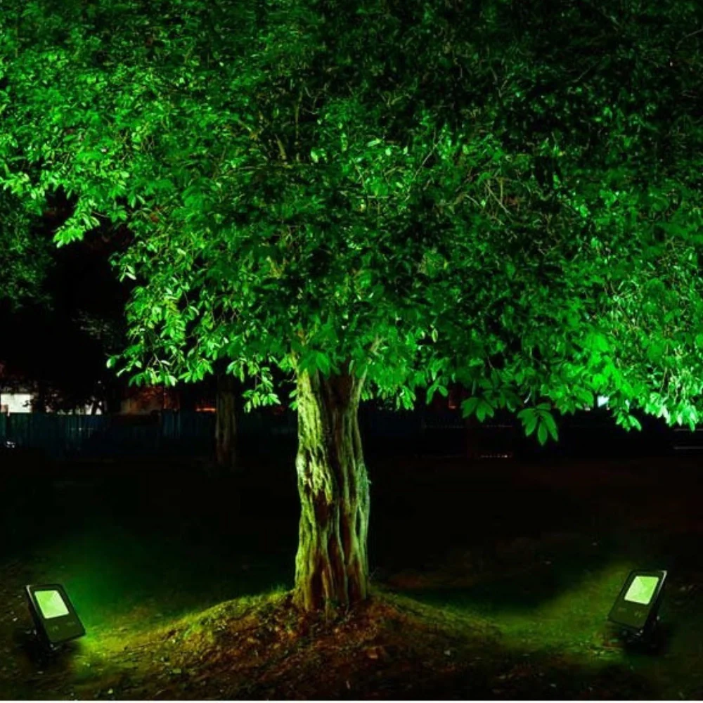 Proiettore led luce verde potenza 20 watt alluminio colore nero ip65 1800 lumen - Image 2