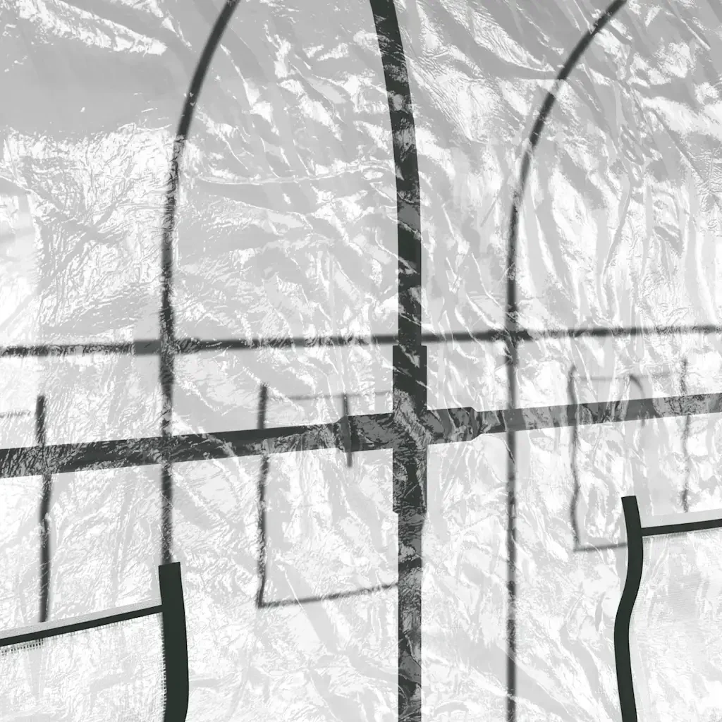 Serra Trasparente 160x400x190 cm PVC Acciaio Verniciato Polvere 317247 - Image 5