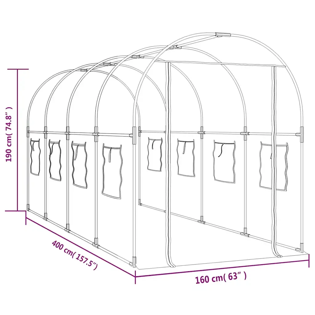 Serra Trasparente 160x400x190 cm PVC Acciaio Verniciato Polvere 317247 - Image 6