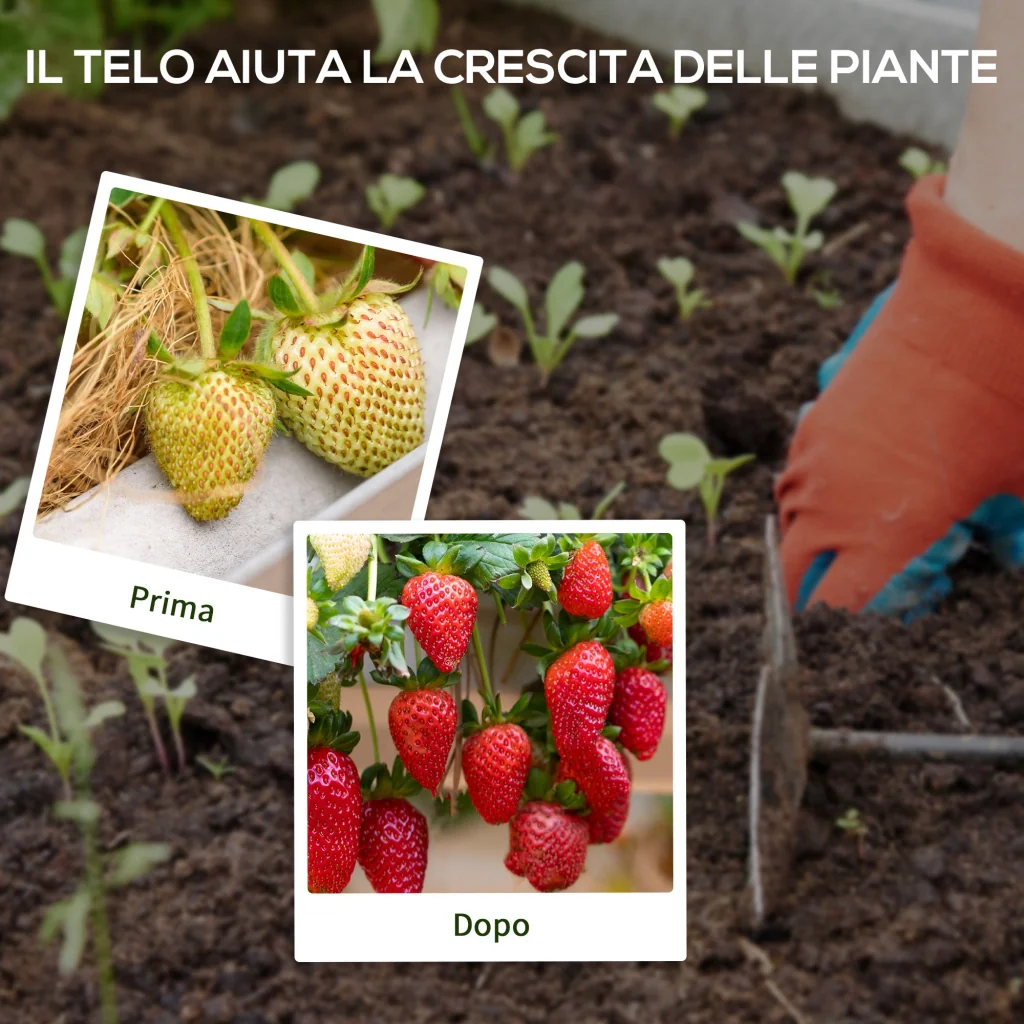 Telo per Pacciamatura 100x2 m Traspirante e Anti-UV in Polipropilene Nero - Image 6