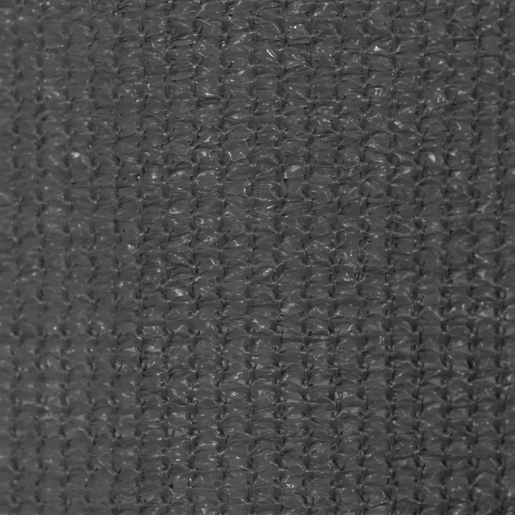 Tenda a Rullo per Esterni 225(L)x230(A) cm Antracite 43499 - Image 4