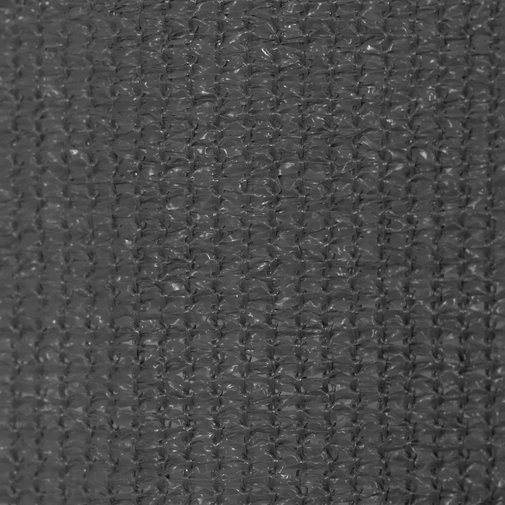 Tenda a Rullo per Esterni 220x230 cm Antracite cod mxl 68286 - Image 5