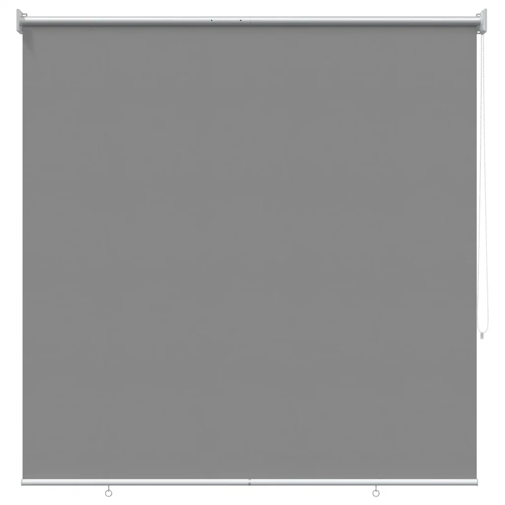 Tenda da sole a rullo con protezione UV Grigio Chiaro 42041273 - Image 2